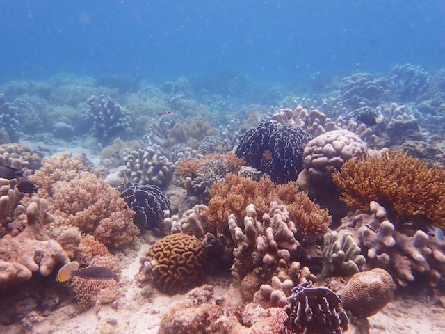 Nomad Divers Bangka Likupang 外观 照片